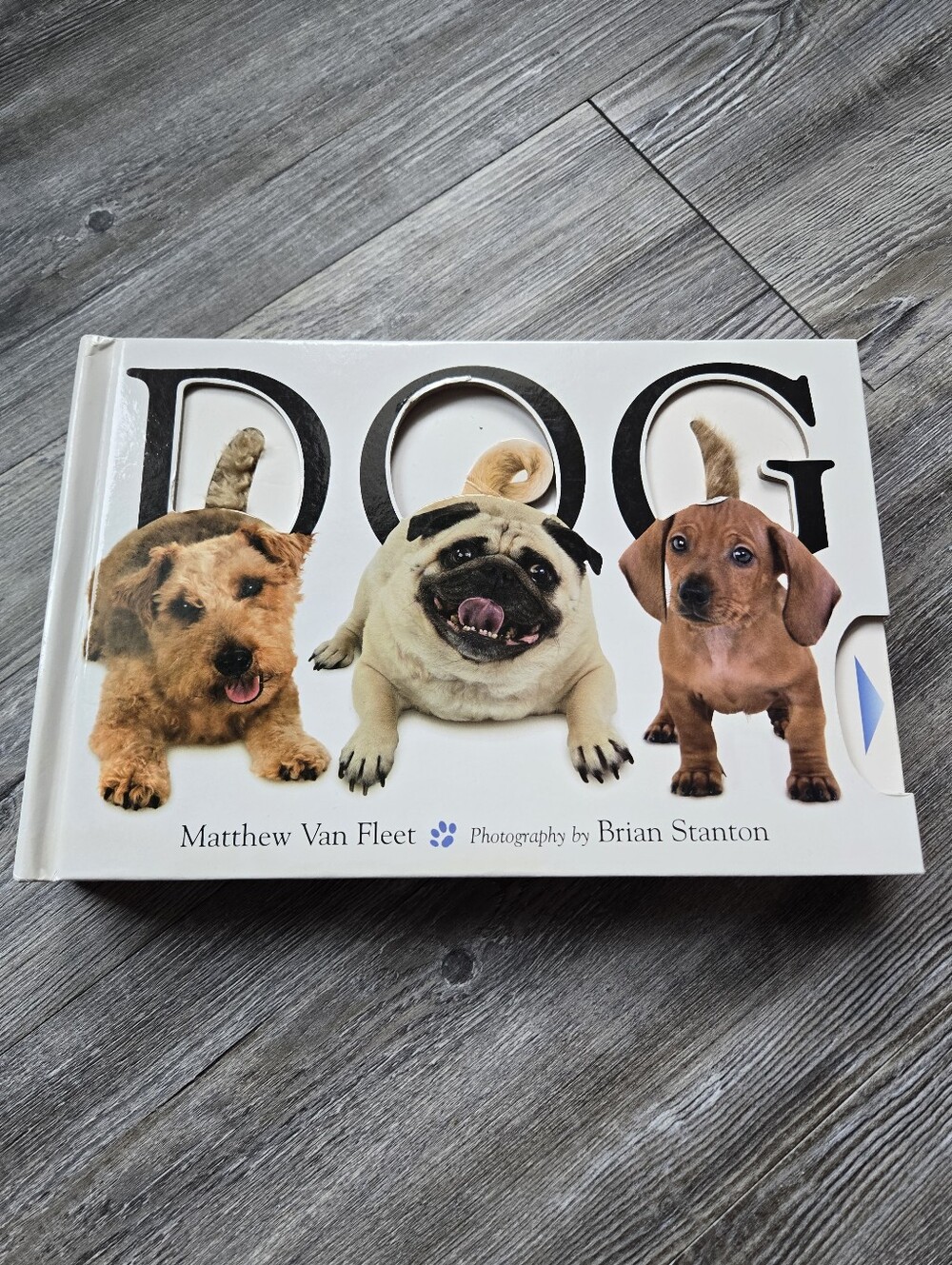 Dog Picture Book by - White Cover